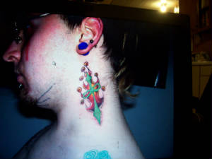 picture227.jpg